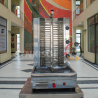 Electric Shawarma Grill